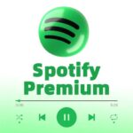 Spotify Premium-3 Months