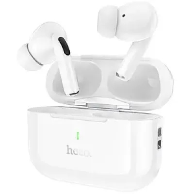 Hoco EW90 ANC True Wireless Earbuds